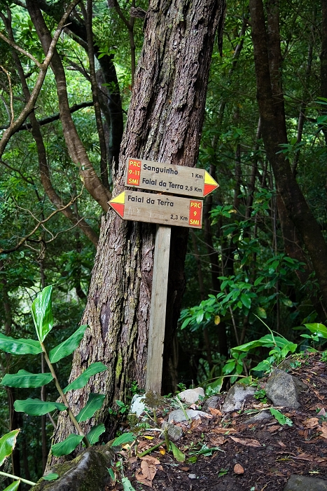 img00067.jpg