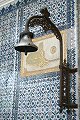 thn00038.jpg