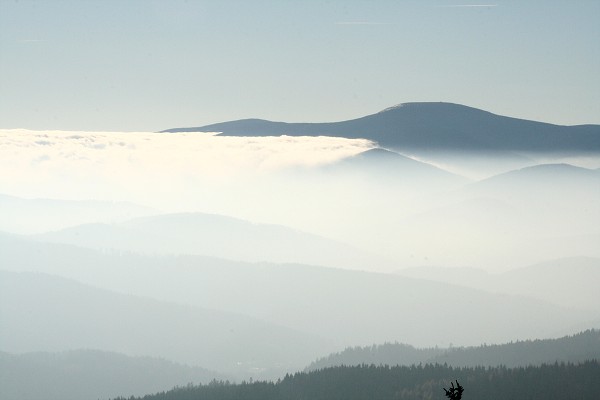 img00013.jpg